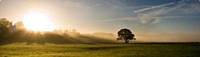 Sunset over fields