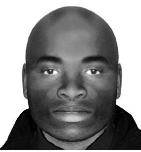 Police have released this e-fit of a man they want to see in connection with a sexual assault on a teenage girl in Hollinwood. 