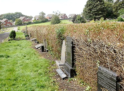 TIDIED up . . . the council took steps to manage overgrown hedges at Greenacres Cemetery following resident complaints and a Chronicle report