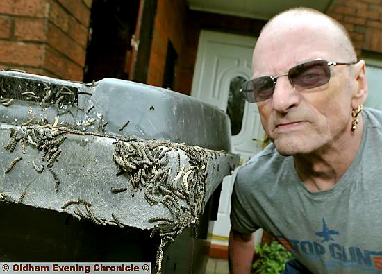 INFESTATION . . . John Greene with the caterpillars on his wheelie bin