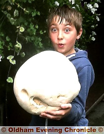George and the giant fungus