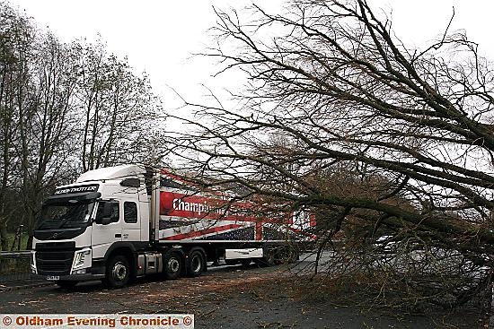 THIS tree across the road caused major disruption during Sunday’s bad weather