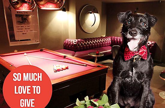 BRUCE: loves a game of pool when not being charming