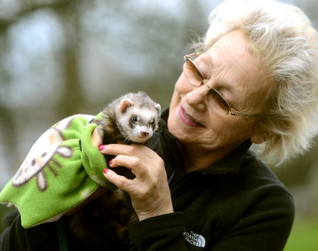 SNUG: Pepper the ferret shows of his new attire with owner Kath Meredith. 