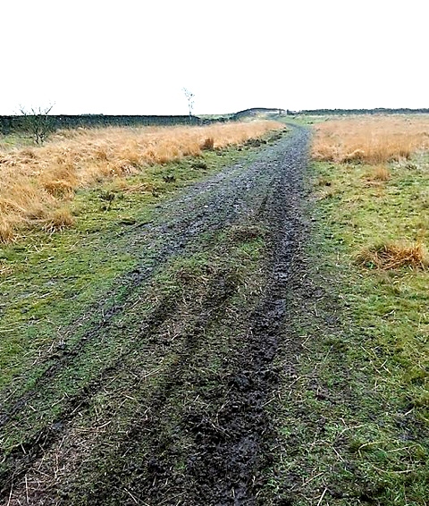 RUTS gouged into the moor by inconsiderate bikers and off-roaders