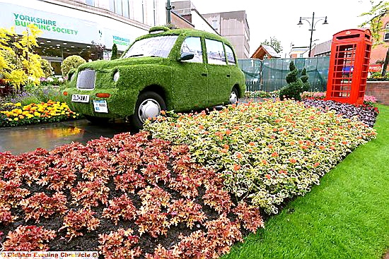 GREEN CAB! This year’s Oldham Bloom and grow centrepiece