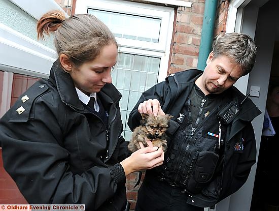 RSPCA Inspector Gilly Howard and Sergeant Jon Martin help one of the frail animals