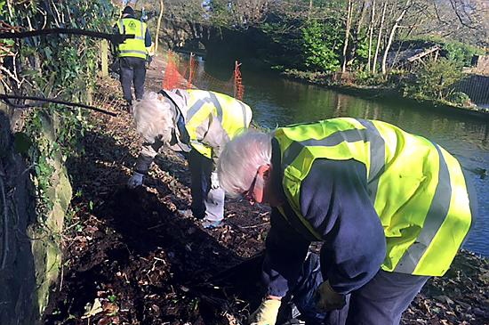 BACK breaking . . . volunteers tidy up the towpath
