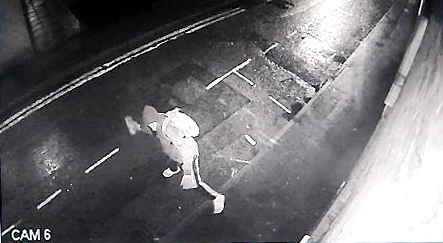 CCTV captures the would-be intruder trying to break the glass