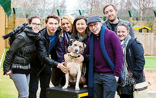 Dogs Trust Manchester’s Rocky was happy to take centre stage when Hayley Tamaddon (fourth from left) and actor Joe Tracini (third from right) and friends from the “Chicago” cast visited the rehoming centre. Picture by Lovatt Photography.