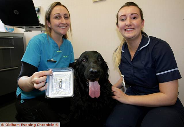 VET Katie Ford (left) and practice nurse Sophie Hoyle with Tilly
