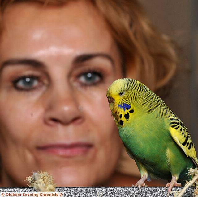 DEBBIE Dwyer with a pet budgie handed in to her charity 'Rainbow Bird Rescue'. She is hoping the budgerigar will be reunited with its owner.