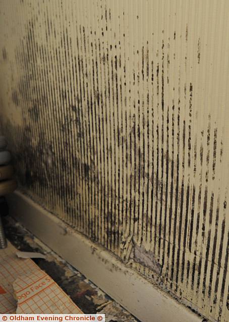 Young mum Courtney Knapman and daughter Ella Dickinson in her house in Springhead. The house is badly affected by mould and damp. Her landlord First Choice Homes Oldham insist the problems are caused by condensation. PIC shows Ella's bedroom wall.
