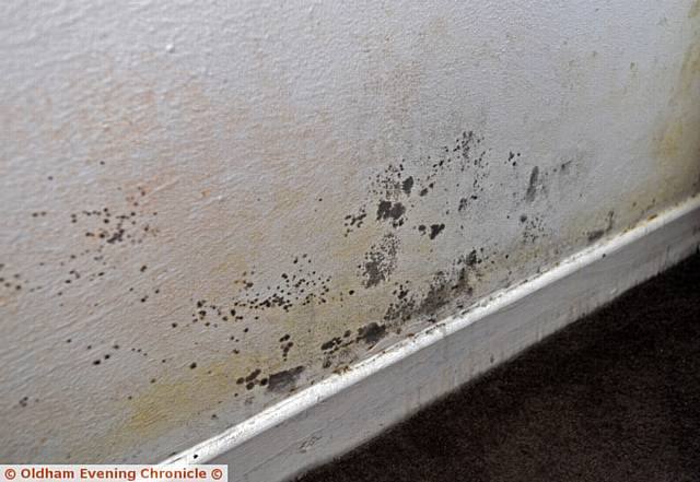 Young mum Courtney Knapman and daughter Ella Dickinson in her house in Springhead. The house is badly affected by mould and damp. Her landlord First Choice Homes Oldham insist the problems are caused by condensation. PIC shows lounge wall.
