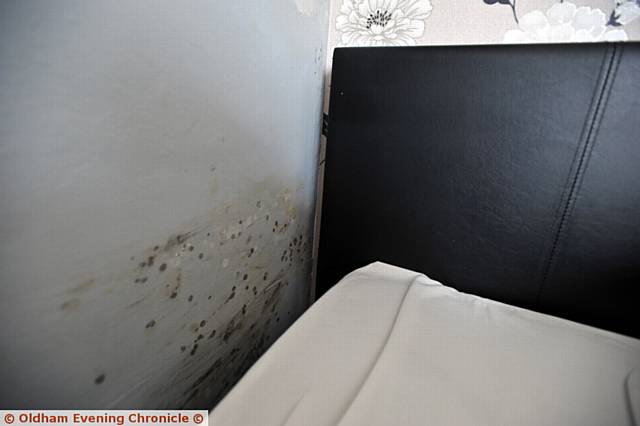 Young mum Courtney Knapman and daughter Ella Dickinson in her house in Springhead. The house is badly affected by mould and damp. Her landlord First Choice Homes Oldham insist the problems are caused by condensation. PIC shows Courtney's bedroom wall.
