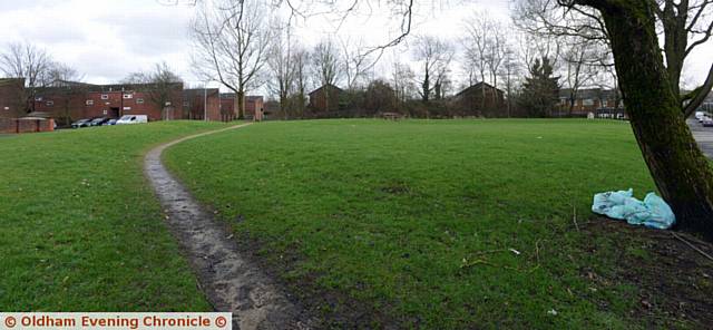 Green space off Bamford Street, Royton which was littered with broken glass.