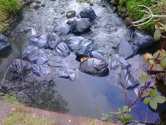 THE bin bags of rubbish dumped in the River Beal.