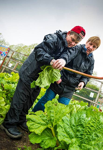A £150,000 fund will help Oldhamers learn more about healthy cooking, community growing and environmental education as the borough takes part in a Europe-wide project.