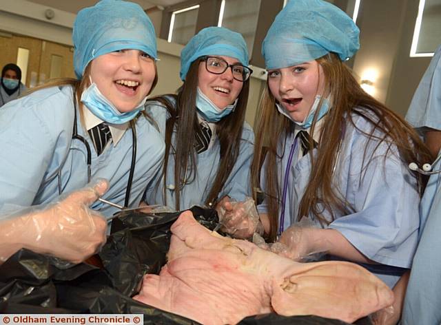FEELING queasy . . . Joanna Mazur (13), Amira Allen (14) and Taylor Bowden (13) dissect a pig's head.