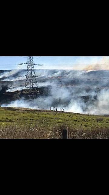 Crompton Moor fire May 2017 GMFire