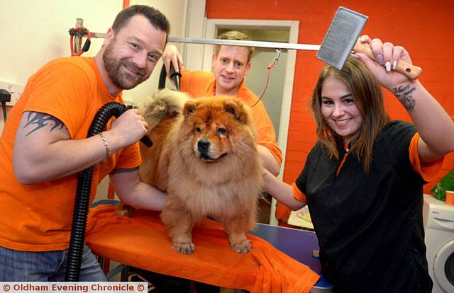 PAMPER time . . . Wu the Chow Chow is treated by Mark Screawn, Stuart Spenceley and Nicola Fowler