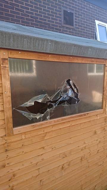 VANDALS strike . . . a shed was broken into at the school
