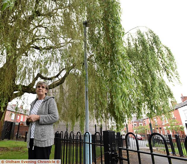 MARION Wilson under a similar tree which overhangs a path near her home