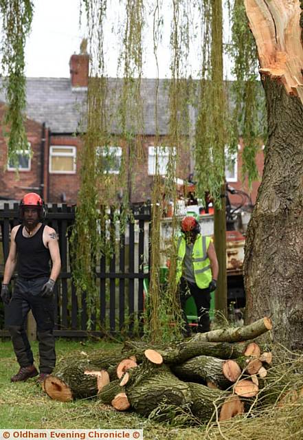 Large willow tree in courtyard at Clifton Villas, Failsworth. Residents says they been complaining to First Choice Homes Oldham about the branches of the willow tree for three years as she is concerned that it could be dangerous if they fall. A 15ft branch fell from the tree onto the path below. PIC shows tree being felled.
