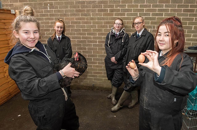 Royton and Crompton school pupils getting their hands dirty down on the farm