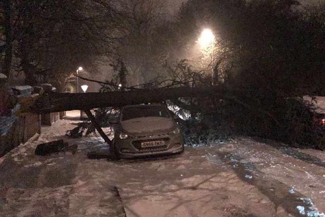A tree fell onto cars in Werneth this morning
