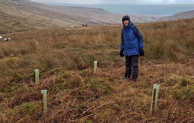 An RSPB volunteer during a woodplanting session at Dovestone