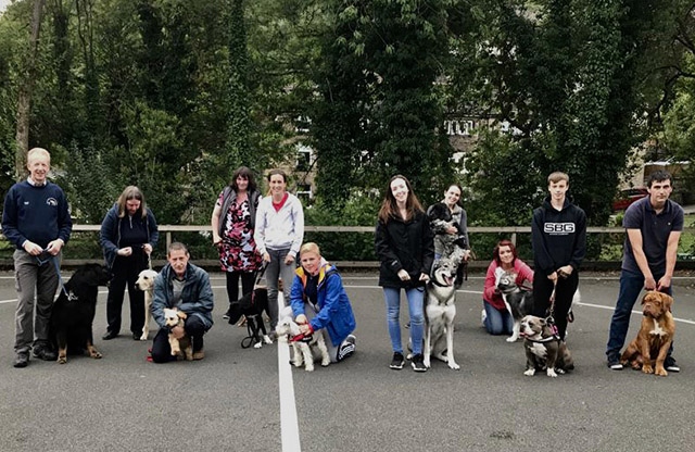 Pictured are members of the Northern Alsatian and All Breeds Training Society Tuesday class, who are at various levels (bronze/silver/gold) of the Kennel Club Good Citizen Dog Scheme. David Orritt (far left) has been volunteering at the club as a trainer for 15 years.