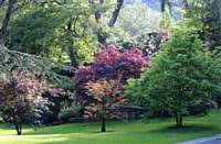 Saddleworth Garden