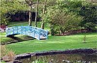 Saddleworth Garden