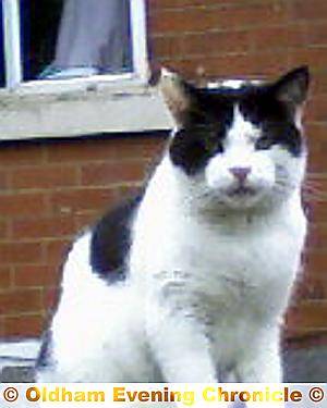 DEAD and dumped in bushes loving Spud DEAD and dumped in bushes loving Spud