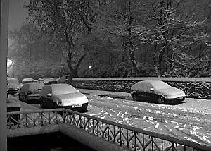 READER'S PICTURE: by Heather Grindrod 