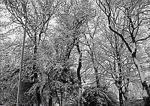 READER'S PICTURE: by Heather Grindrod 