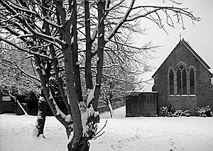 READER'S PICTURE: by Heather Grindrod 