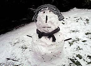 CHEER UP: Vicky Stevenson from Shaw is off school sick, so her mum made this snowman for her to look at! 