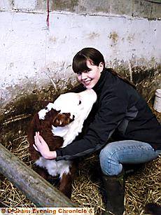 GIVE me a cuddle . . . Claire Crowther with her herd's first calf, Damson 