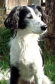 HAVE you seen Gemma? 