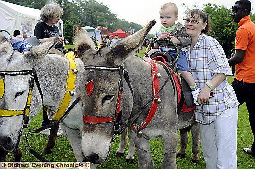 Barbara Cregan and Cameron Thomas Hope (18mths) bond with the donkeys 
To buy this picture, call us on 0161 622 2130