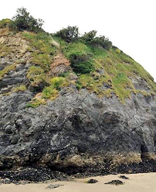 DEATH plunge . . . the sea cliff where Andrew’s body was found 