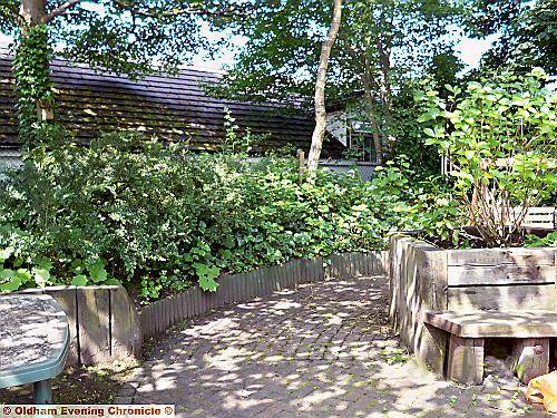 OVERGROWN . . . the garden before work took place 
