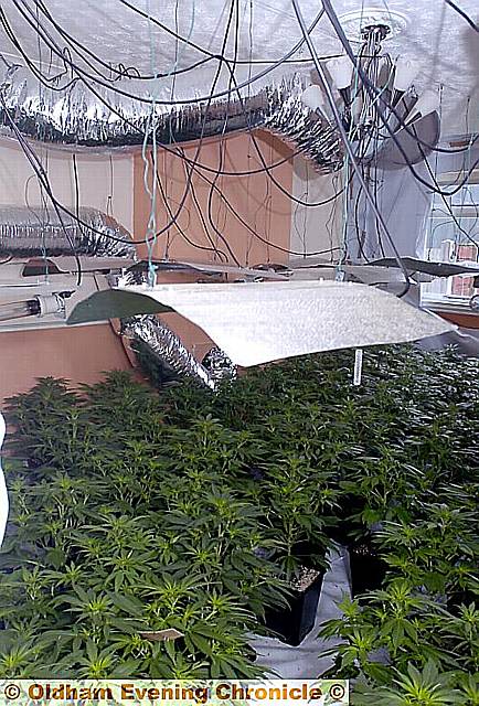 UNCOVERED . . . the heating system and mass of wires used to help the plants grow 