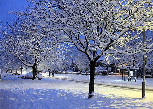 STREET lights lend a soft glow to the snow in this wintry scene at the junction of Chadderton Hall Road and Chadderton Park Road, captured by Chronicle reader Karen Mackle, of Burnley Lane, Chadderton. 