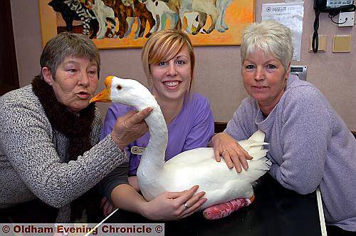 FEATHERED friends . . . Miss Hiss with (from the left) Donata Butler, veterinary nurse Kathryn Mowbury and Val Wynn FEATHERED friends . . . Miss Hiss with (from the left) Donata Butler, veterinary nurse Kathryn Mowbury and Val Wynn