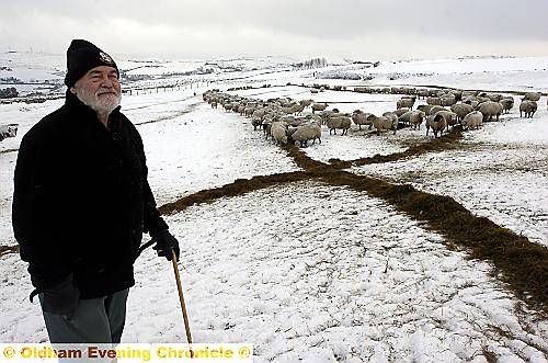 HARD task . . . Bryan Hough tries to round up his flock of sheep 
