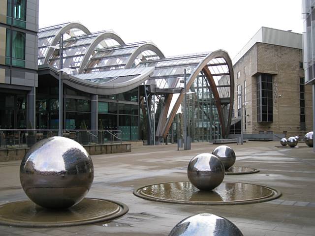 Sheffield winter garden