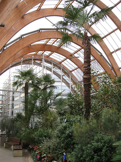 Sheffield winter garden